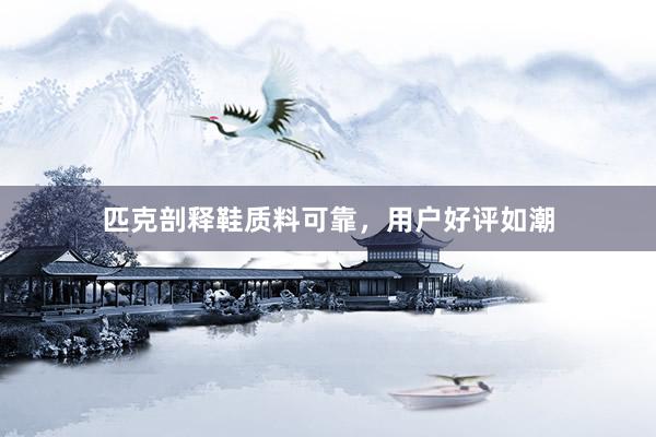匹克剖释鞋质料可靠，用户好评如潮